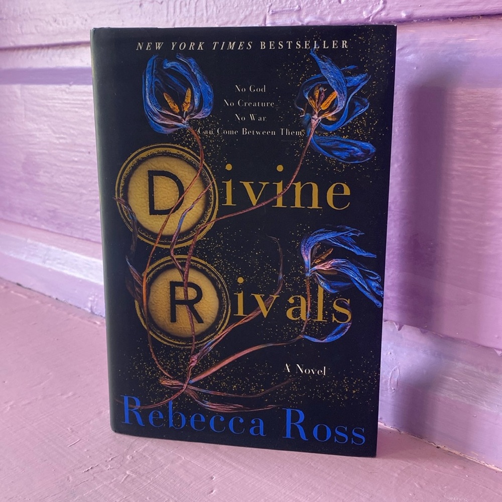 Devine Rivals Excellent Condition. Fantasy Romance